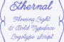 Ethernal Flag Kopiera